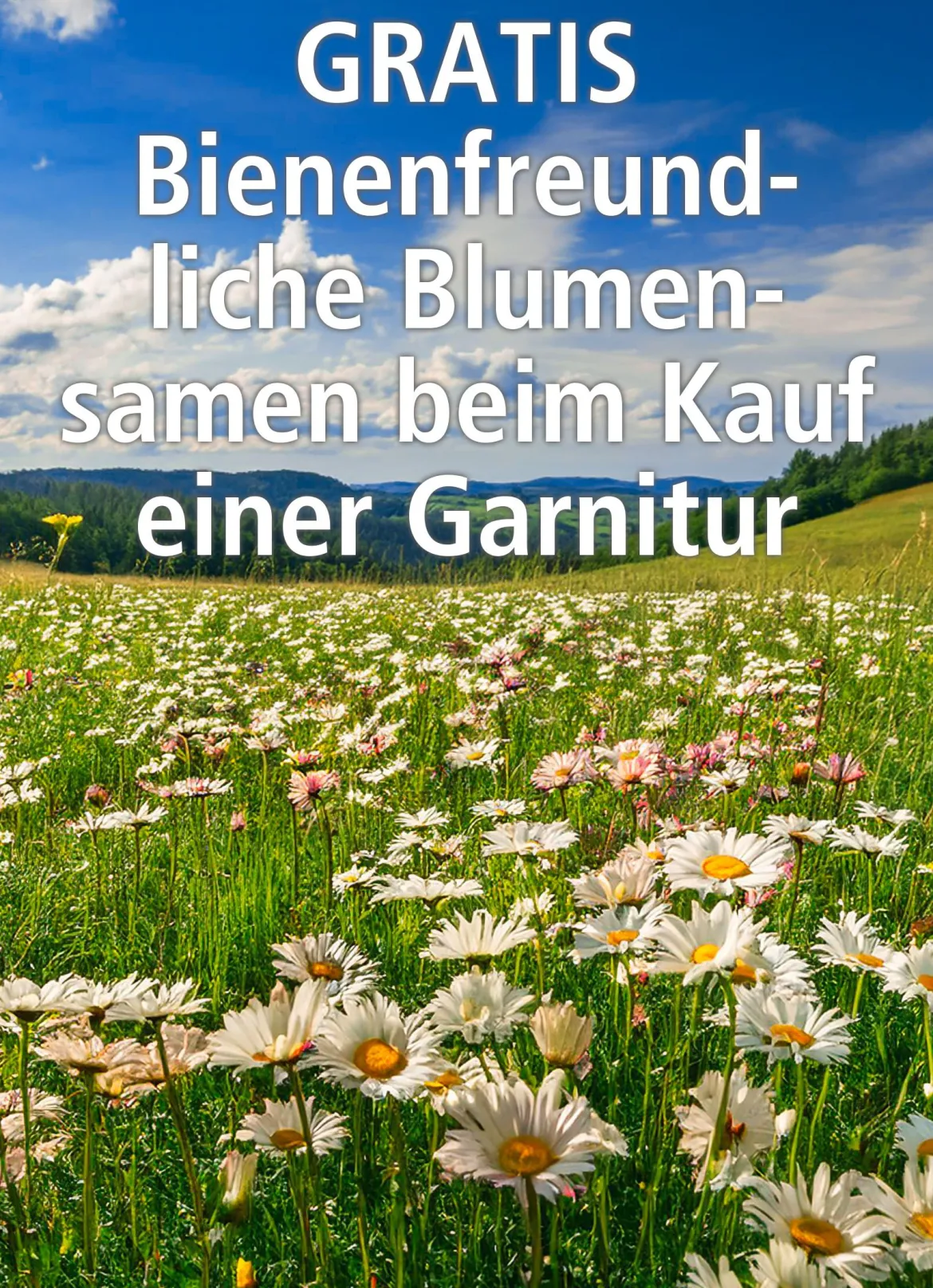 Bettwäsche-Garnitur mit Blumenwiesen-Motiv
