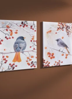 Bild Vogel des Jahres 2025 Hausrotschwanz auf Leinwand