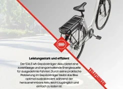 City-E-Bike RC667 von TELEFUNKEN