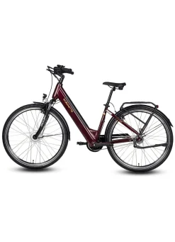 E-Bike Comfort Plus 5.0 von Saxonette