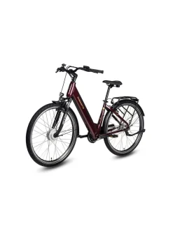 E-Bike Comfort Plus 5.0 von Saxonette