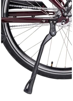 E-Bike Comfort Plus 5.0 von Saxonette
