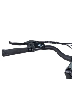 E-Bike Comfort Plus 5.0 von Saxonette