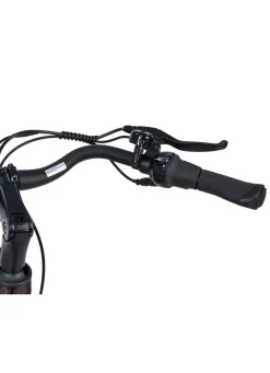 E-Bike Comfort Plus 5.0 von Saxonette