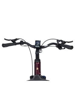E-Bike Deluxe SUV Easy