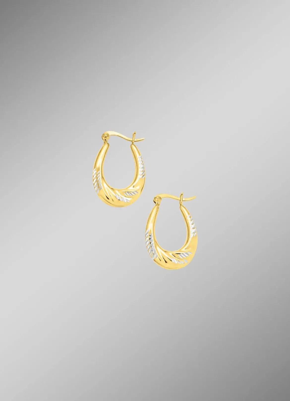 Eleganz und Glanz: Creolen in Bicolor