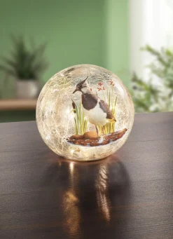 Glaskugel mit Beleuchtung