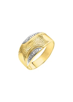 Glänzende Eleganz: Damenring mit 2 Diamanten