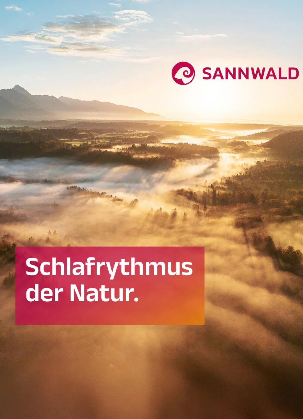 Gänsedaunen-Bettwarenprogramm von Sannwald