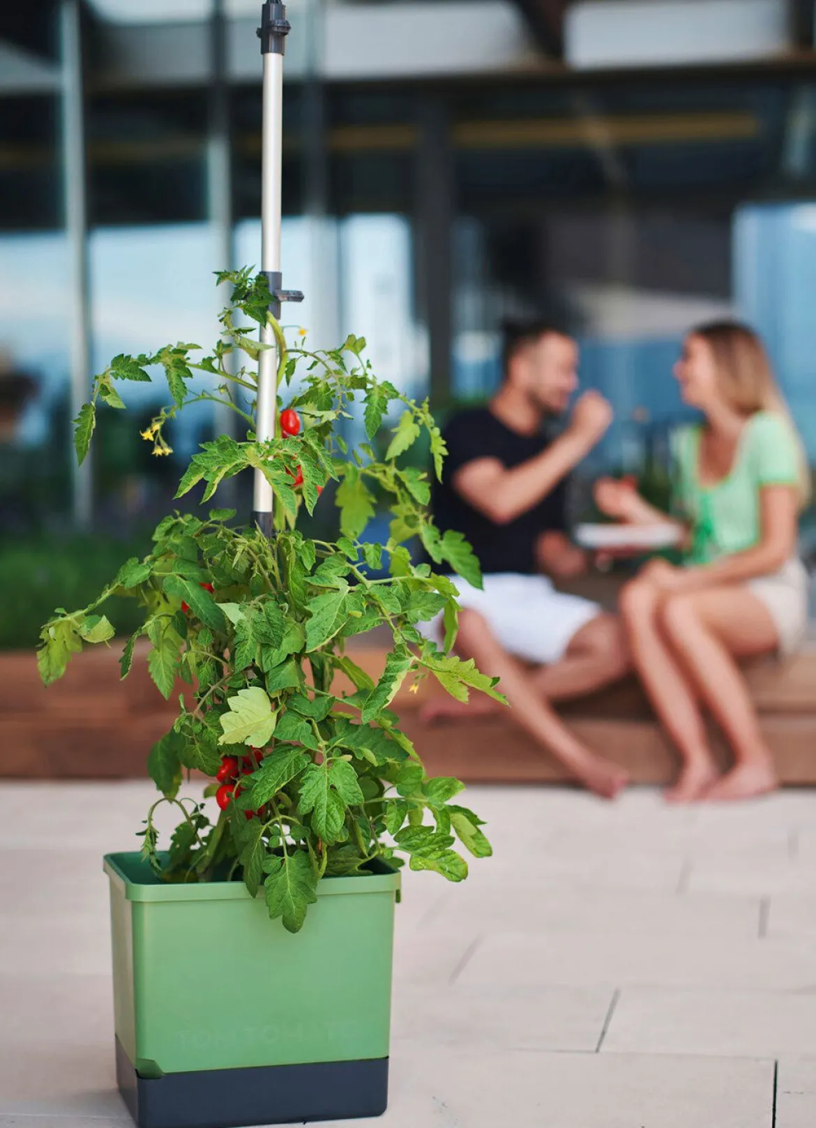Gusta Garden Tom Tomato mit Bewässerungssystem