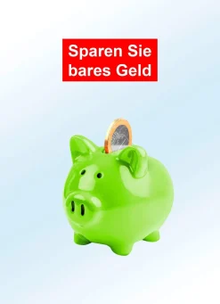 Mobiler und überall einsetzbarer Öl-Radiator
