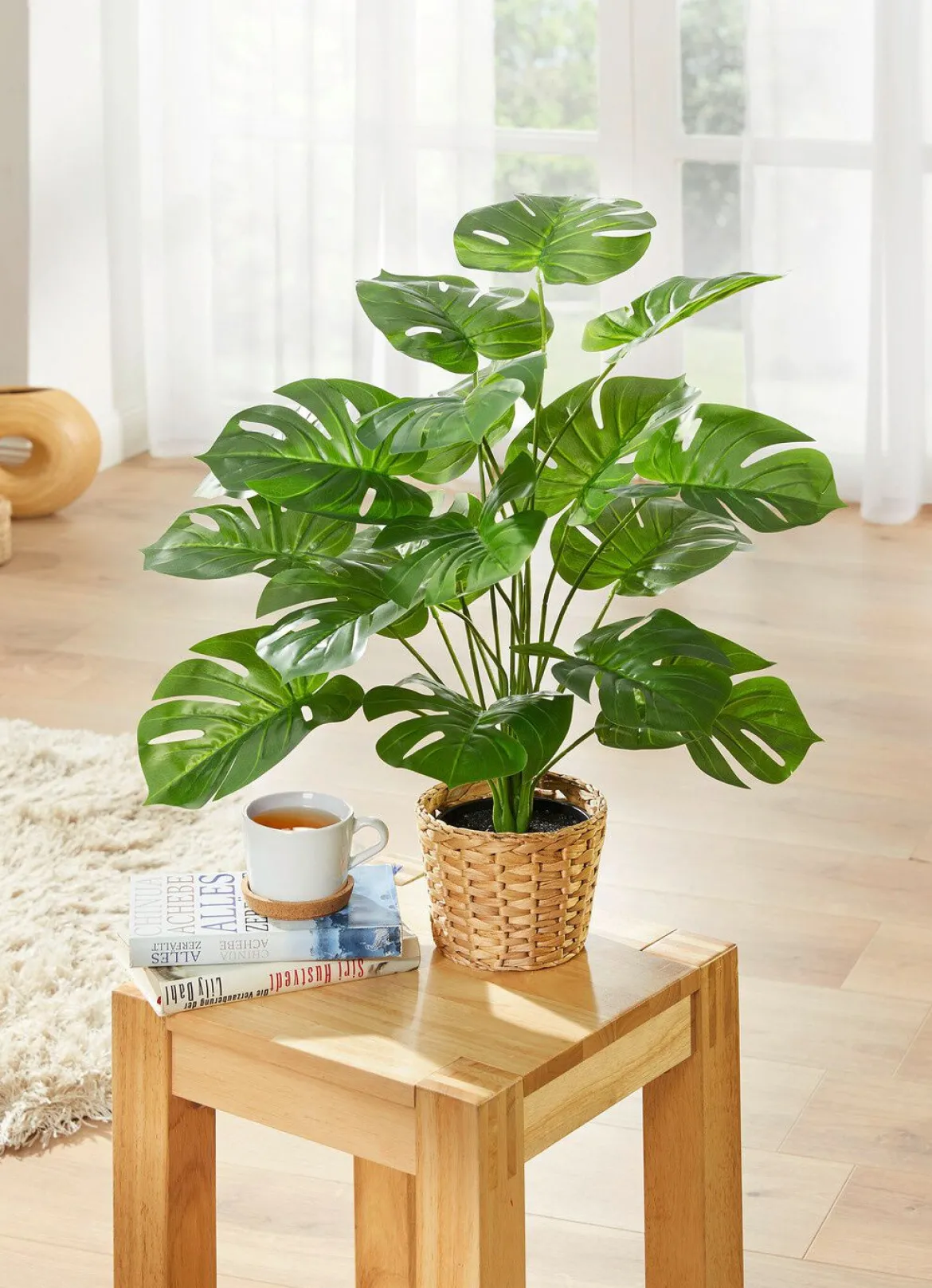Monstera