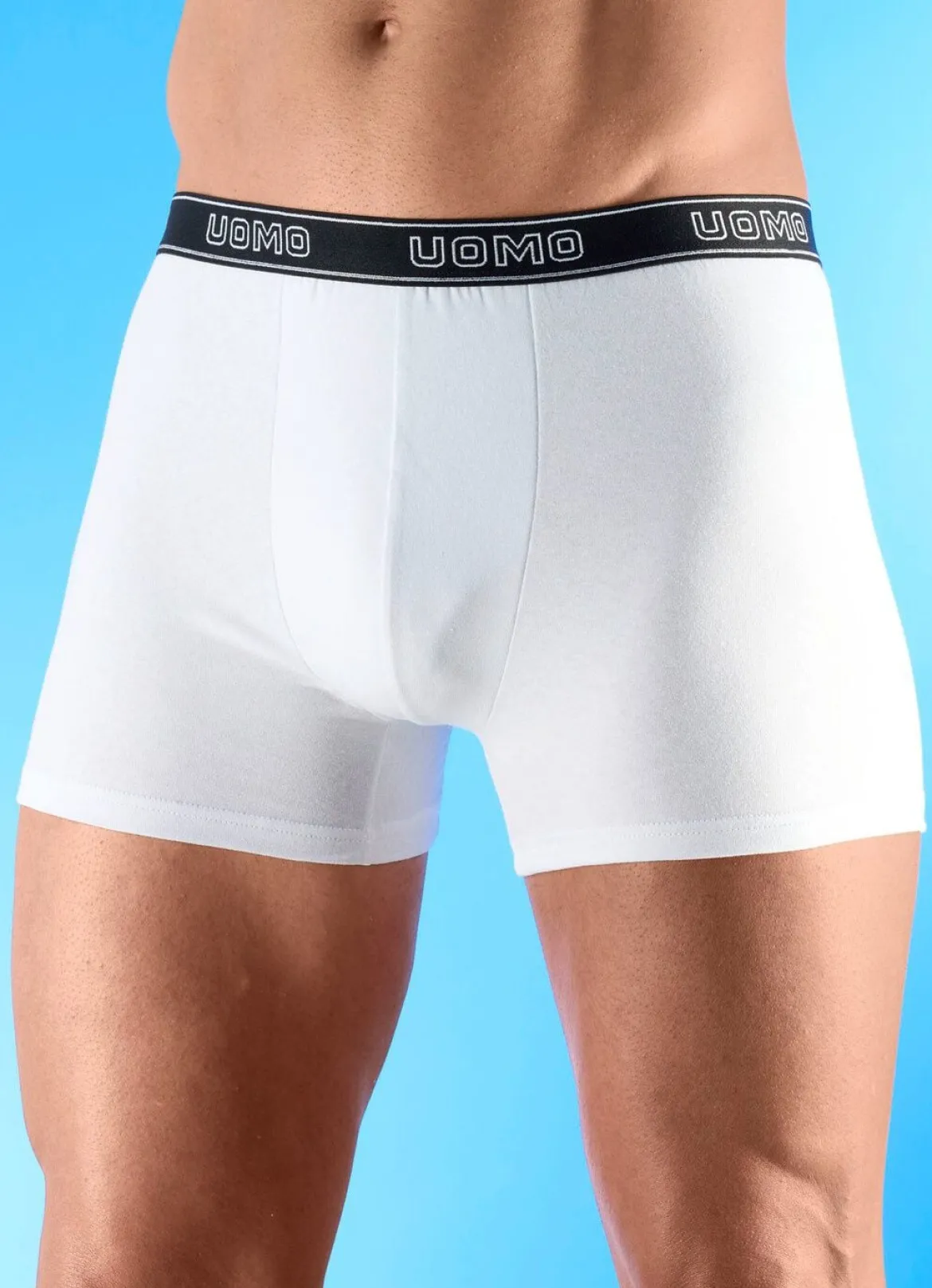 Sechserpack Pants mit Elastikbund