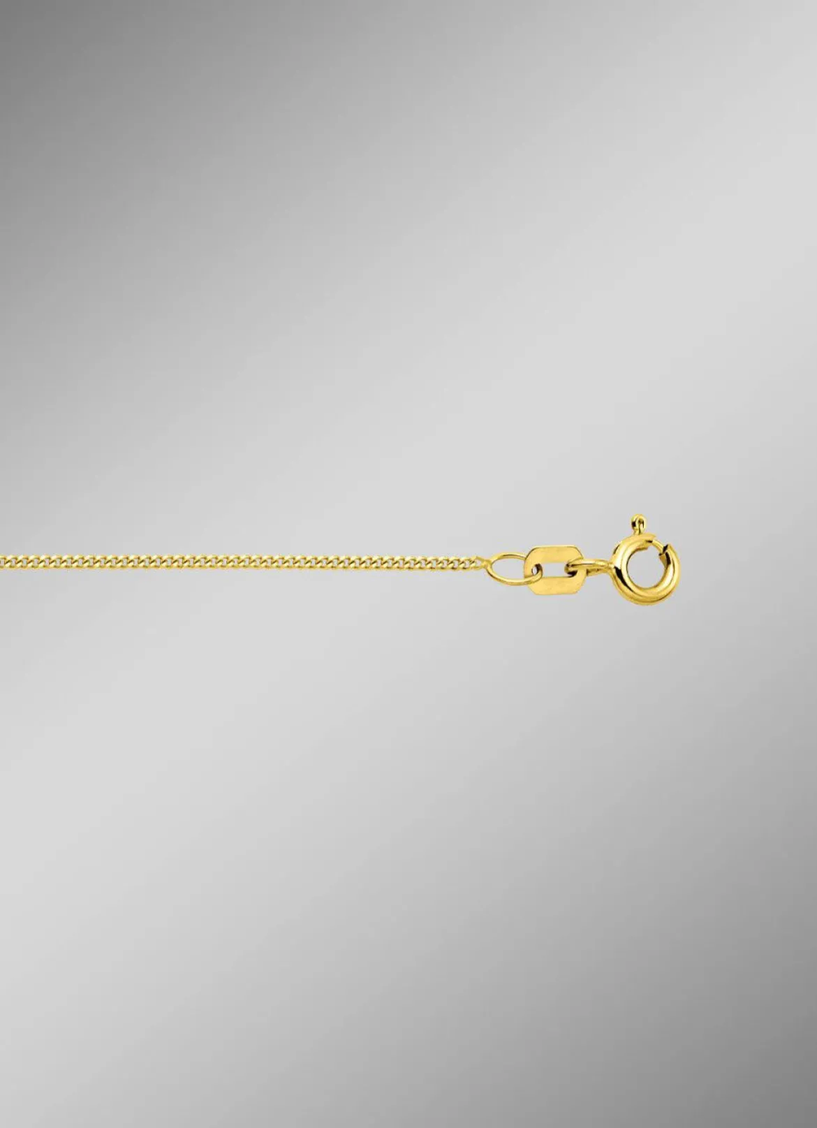 Stilvolle Flachpanzerkette aus Gold