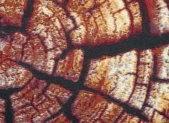 Teppich im naturnahen Baumstamm-Design