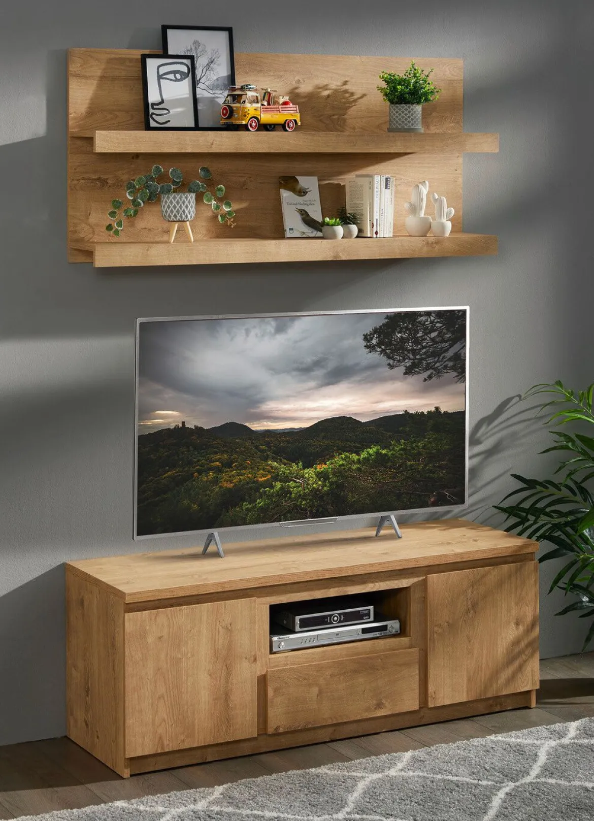 TV-Longboard mit Wandboard