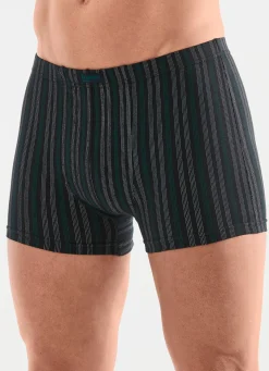 Viererpack Pants mit Dehnbund