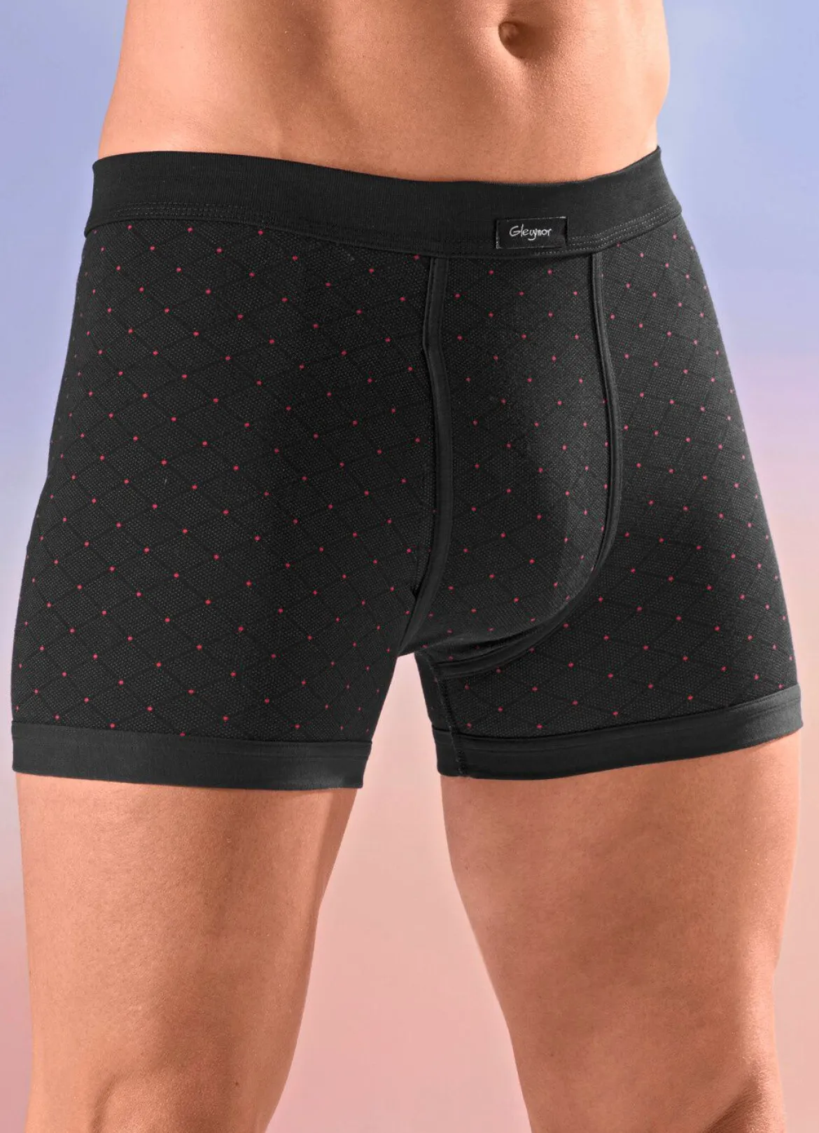 Viererpack Unterhosen mit Alloverdessin