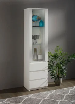 Vitrine in modernem Design