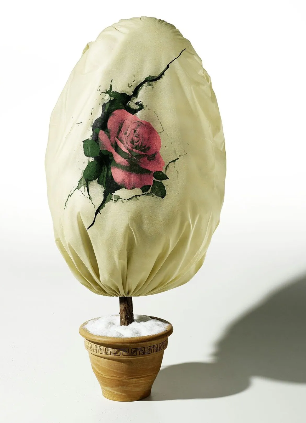 Vlieshaube Rose