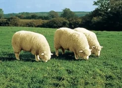 Vorleger aus echtem Merino-Lammfell